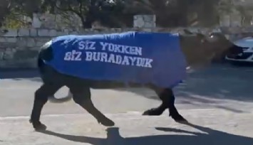 Güzelbahçe’de mandalı protesto: Siz yokken biz buradaydık