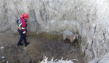 İtfaiyeden keçi operasyonu