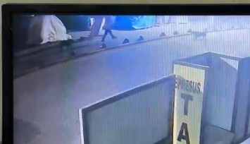 Kendisine saldıran köpeği vuran astsubay serbest bırakıldı