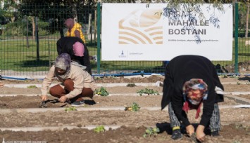 Mahalle bostanlarında kış dikimleri başladı
