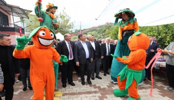 Menderes Mandalina Festivali ile coşacak