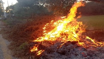 Muğla'da çıkan orman yangınları erken müdahale