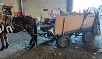 Salihli’de at arabalı hırsızlığa darbe: 2 araç trafikten men eddildi