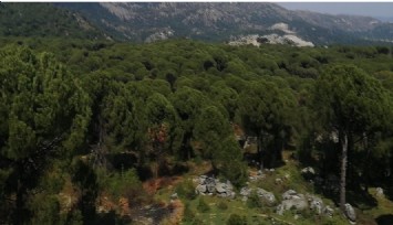 UNESCO’ya rezil olduk: İzmir’de Küresel Jeopark Alanı için başvurulan bölgeye maden sahası izni