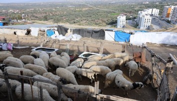 Aydın'da karantina