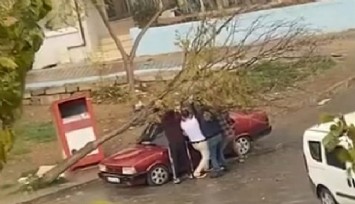 Karabağlar’da fırtına etkisi: Devrilen ağaç otomobilin üzerine düştü