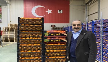 Mandalina ihracatı 615 milyon dolarla rekor kırdı