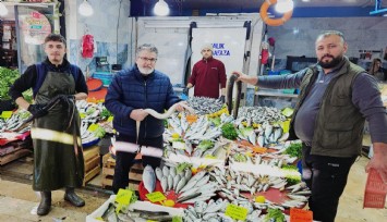 Yılan balıkları 7 bin kilometre kat ederek Meksika Körfezi’nden Aydın’a ulaştı