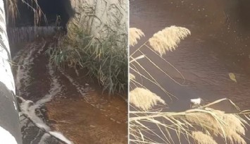 Bakanlık'tan İzmir Büyükşehir Belediyesi'ne bir ceza daha:  1 milyon 671 bin 844 TL para cezası kesildi
