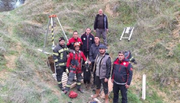 Denizli'de kuyuya düşen keçi için itfaiyeciler seferber oldu