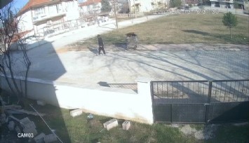 İple bağladığı köpeği çöpe attı  ''O anlar güvenlik kamerasında görüntülendi''