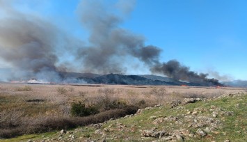 Köyceğiz'de sazlık alanda yangın