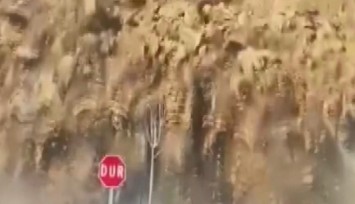 Ordu’da heyelan anı kamerada
