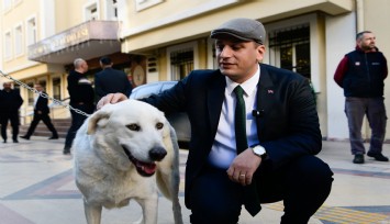 Başkan Eşki’den Hayvan Hakları savunucularına güçlü destek