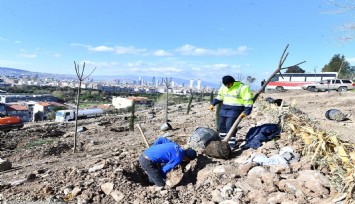 Bornova'da yeni bir orman büyüyecek
