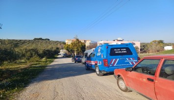 İzmir'de uyuşturucu madde operasyonu: 102 kök kenevir ele geçirildi