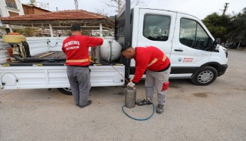 Menderes’te haşere ile mücadele başladı