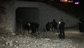 Uşak'ta ormanlık alanda erkek cesedi bulundu