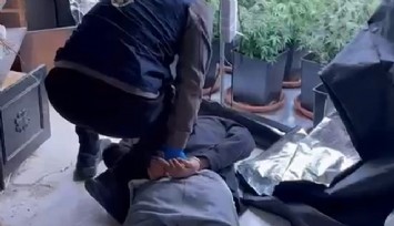 Evini uyuşturucu serasına çevirdi