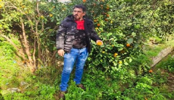 Kazadan dolayı hayatını kaybetti sanıldı: Otopside kafasından mermi çekirdeği çıktı