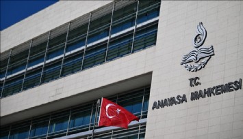 AYM sahipsiz hayvanlarla ilgiyi yasaya yapılan itirazı reddetti
