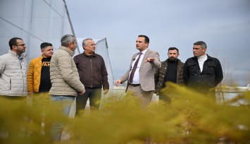 Bornova Belediyesi fidanlığı yeni görünümüyle göz kamaştırıyor