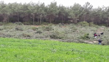 İzmir’de 7 milyon 473 bin 562 metrekare orman alanına yapılaşma yolu: Orman alanı dışına çıkarıldı