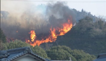 Japonya’da orman yangını alarmı