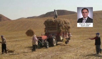Köylü isyanda…