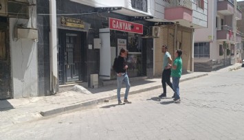 Manisa’da kan donduran olay: Kediyi pompalı tüfekle öldüren şahıs serbest bırakıldı