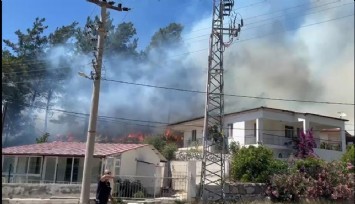 Marmaris’te orman yangını