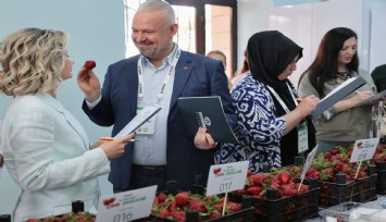 Menemen'de Emiralem Çilek Festivali'ne akın akın:  1 milyonu aşan ziyaretçi geldi