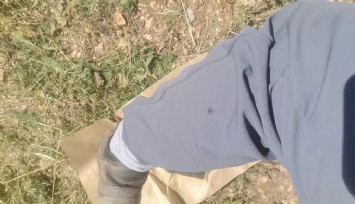 'Keneler, köpekler gibi koku alıp üzerimize geliyor' dedi, o anları kayıt altına aldı