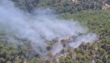 2 hektar alan zarar gördü: Denizli'deki orman yangını kontrol altında