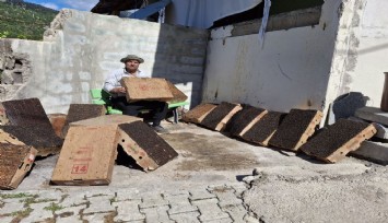 Adana’da sineklerle kartonla mücadele