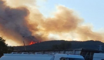 Aliağa'daki orman yangıyla ilgili 1 kişi tutuklandı
