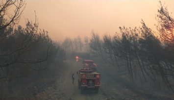 Aliağa ve Foça'da orman yangınında ekiplerin zorlu mücadelesi