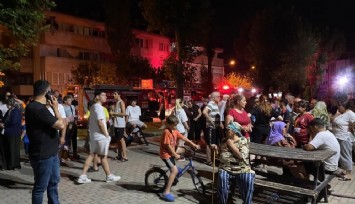 Aydın'da korkutan yangın
