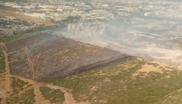 Bornova'da orman  yangını: 2 uçak, 3 helikopter müdahale ediyor