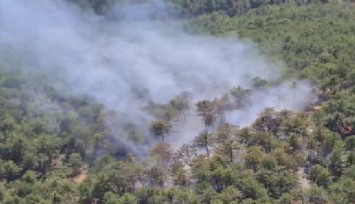 Denizli'de orman yangınına havadan ve karadan müdahale ediliyor