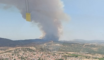 Foça’da orman yangını