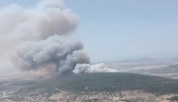 Foça'da orman yangını: 4 uçak, 6 helikopter müdahale ediyor