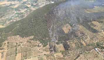Foça’da ormanlık alandaki yangın kontrol altında