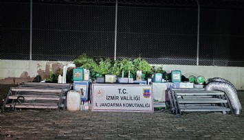 İzmir'de uyuşturucu operasyonu: 183 kök ele geçirildi