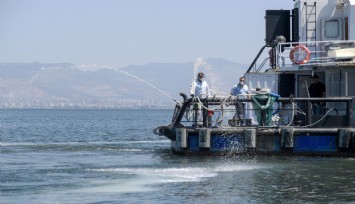 İzmir Körfezi’nde modifiye kil umudu: Körfez modifiye kil yöntemiyle nefes alacak
