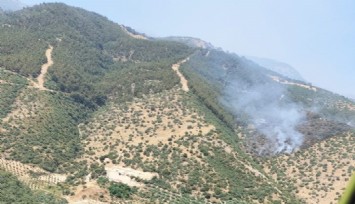 Manisa'da orman yangını: Havadan ve karadan müdahale devam ediyor