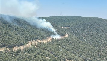 Manisa'da orman yangını: Müdahale sürüyor