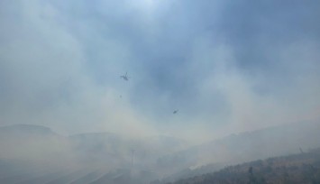 Manisa'da ormanlık alanda yangın: Havadan ve karadan müdahale başladı