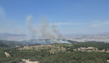 Buca'da orman yangını: Müdahale devam ediyor