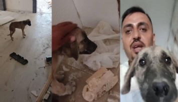 Canını hiçe sayıp ağır hasarlı binaya giren vatandaşın, yıkım öncesi yavru köpeği kurtardığı anlar kamerada